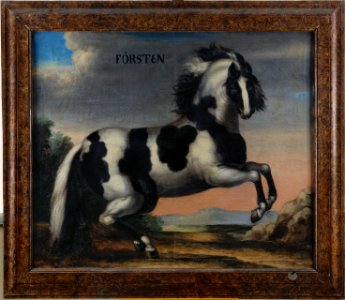 Hästporträtt Försten - Skoklosters slott - 48092