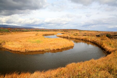 Clouds swamp water photo