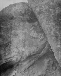 Hällristning. Sydamerika, Pucara, öster om Mizque. Bolivia - SMVK - 005825