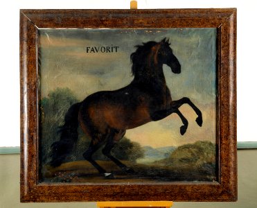 Hästporträtt Favorit - Skoklosters slott - 48093