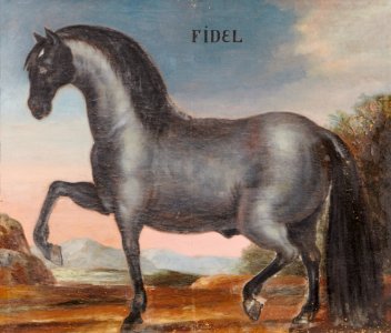 Hästporträtt från cirka 1650 - Skoklosters slott - 95255