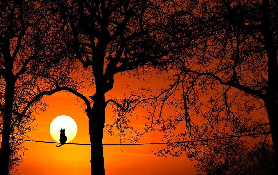 Sunset dawn dusk