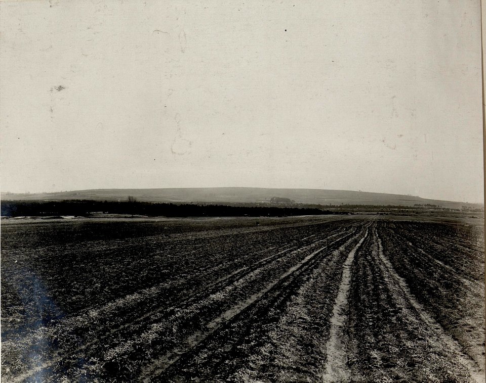 Höhe Kote 399 südlich Javorchik von der Strasse Javorcnik-Kotovice gesehen. (BildID 15537640)