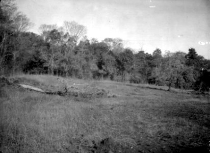 I urskoogskanten. (negativkuvertet). S-te Marie de Marovoay. Madagaskar - SMVK - 021880 photo