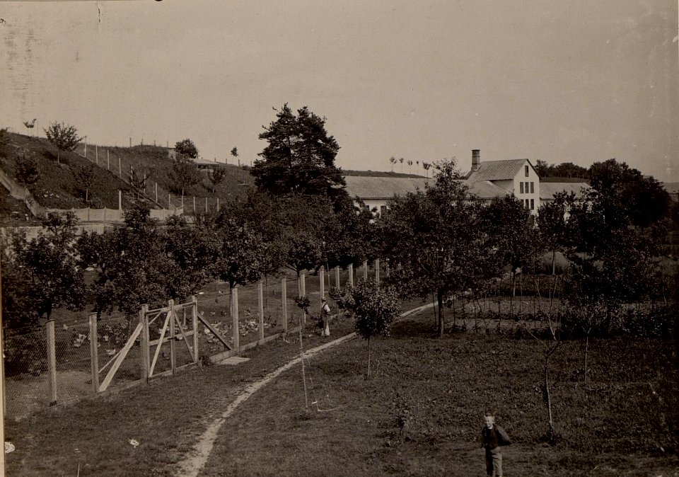 Hühnerhof LIND bei Villach. Stall-, Wirtschaftsgebäude und Auslaufgarten. Aufgenommen am 25. Juni 1916. (BildID 15476385)