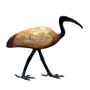 Ibis coffin-MAHG 20148-IMG 1648-white