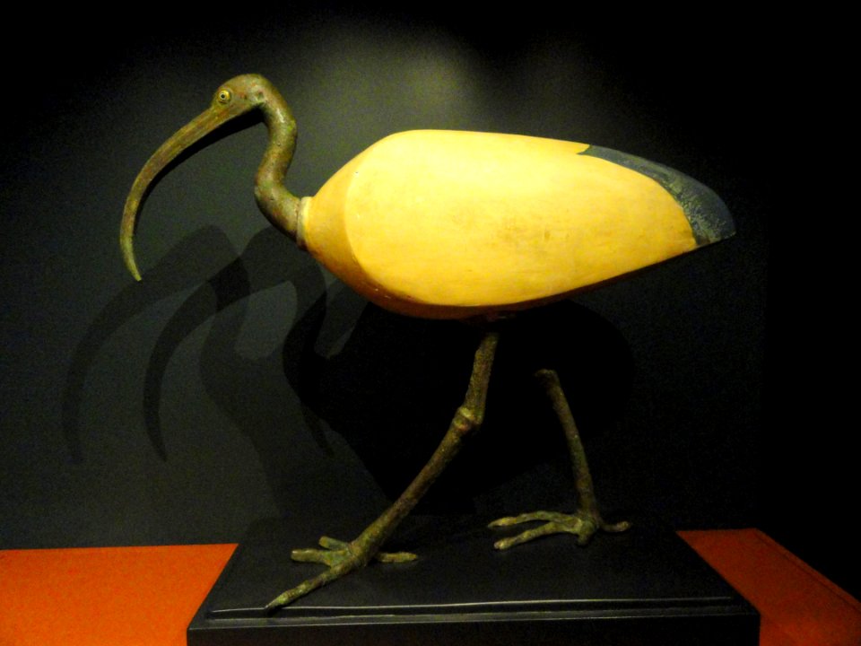 Ibis, Egypt, Late Period to Ptolemaic Period, 26th Dynasty to Ptolemaic Dynasty, 664-32 BCE - Nelson-Atkins Museum of Art - DSC08074
