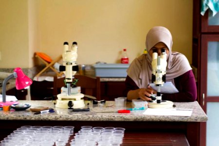 IBRC student works at the microscope to identify recovered animals (9350094998)