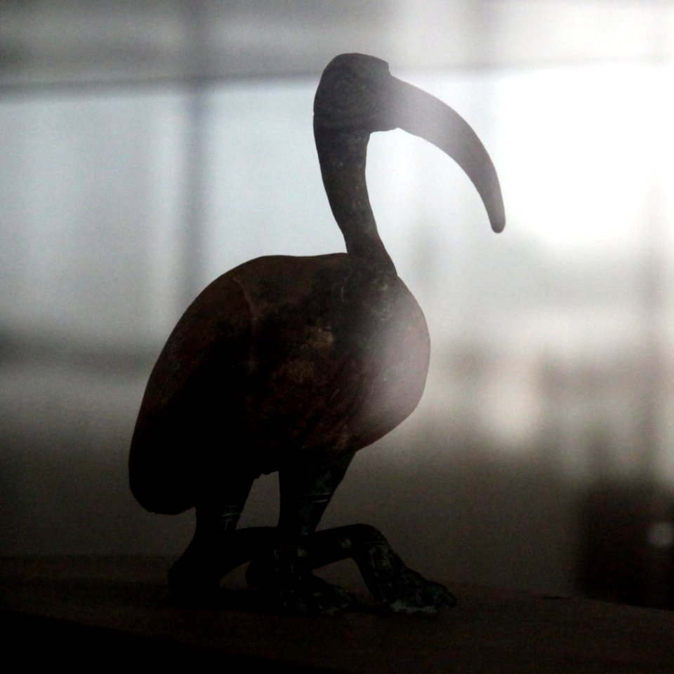 Ibis statuette-MAHG A 2004-93-IMG 9454