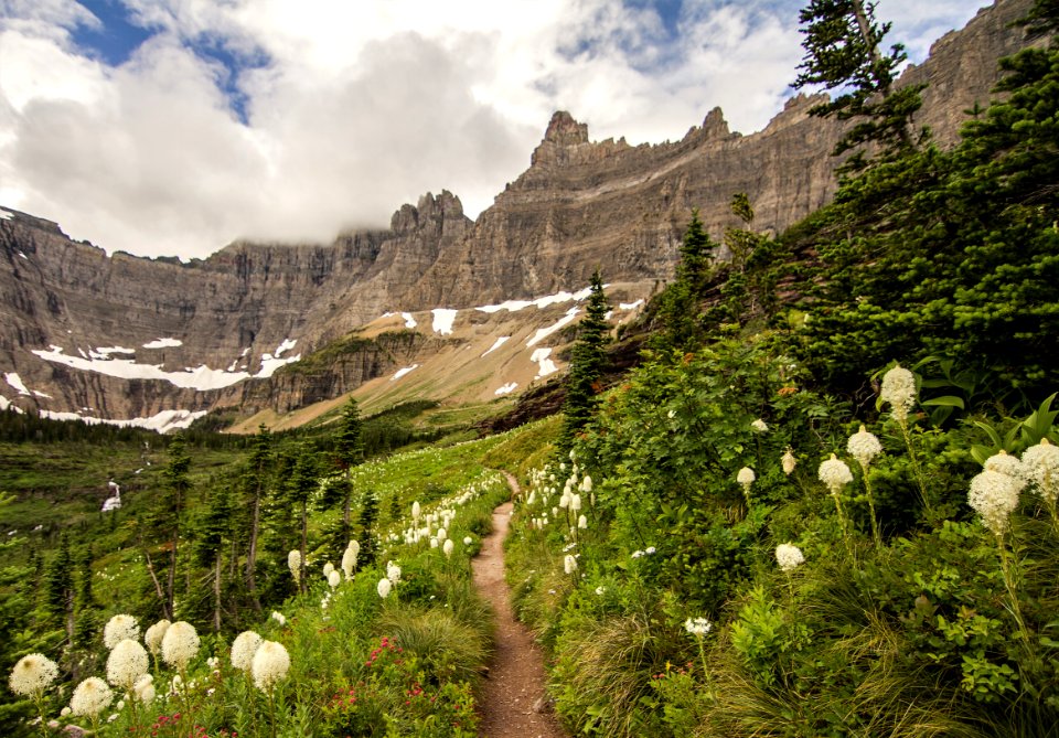 Iceberg Lake Trail