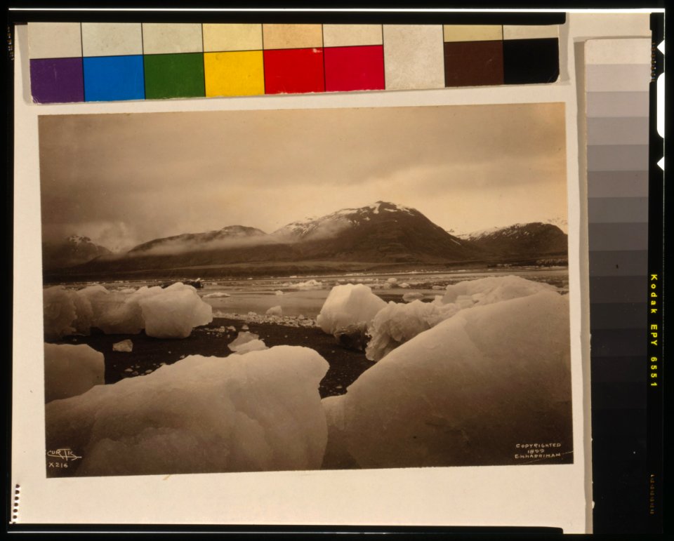 Icebergs, bay, and mountain in background, Alaska) - Curtis LCCN00649755