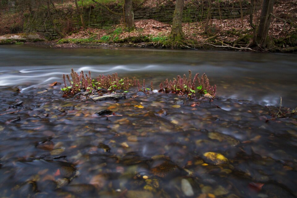 Autumn landscape leaf