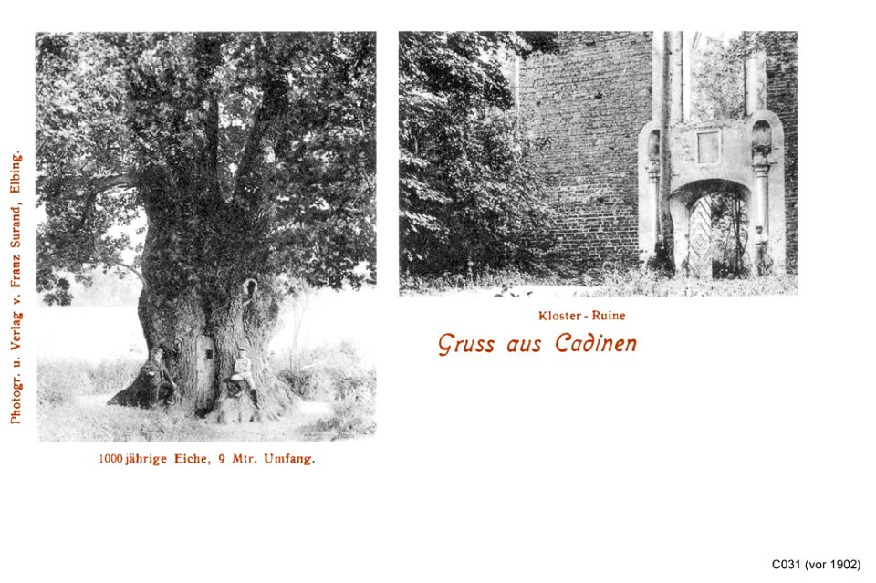 ID004067 C031 CadinenEicheKloster