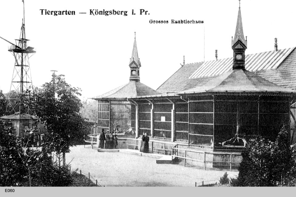 ID004591 E060 TiergRaubtierhaus
