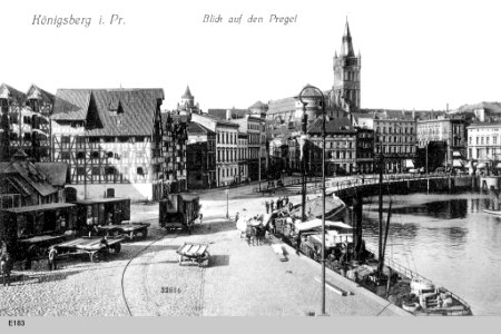 ID004714 E183 PregelHundegatt