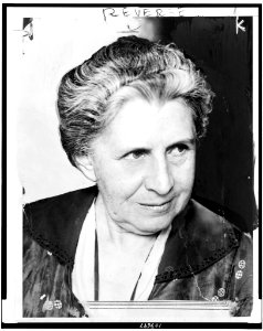 Ida M. Tarbell, head-and-shoulders portrait, facing right LCCN94500302