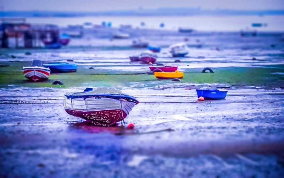 Boats baixa da banheira portugal