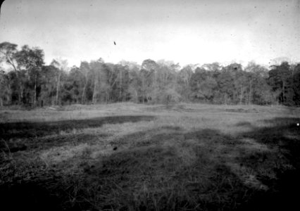 I urskogskanten. S-te Marie de Marovoay. Madagaskar - SMVK - 021879 photo