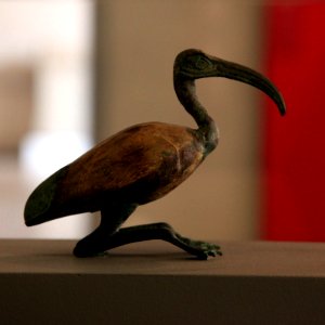 Ibis statuette-MAHG A 2004-93-IMG 9453