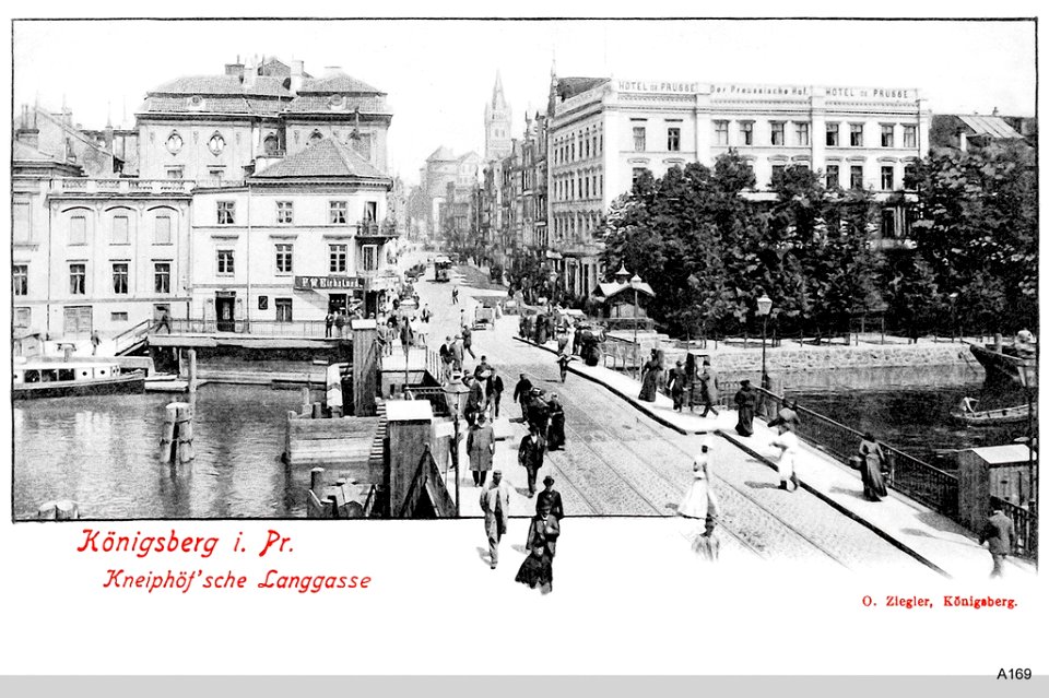 ID003264 A169 KneiphLanggassevv
