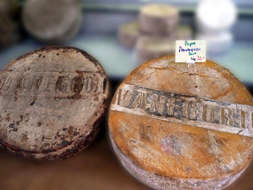 Delicacy milk product old