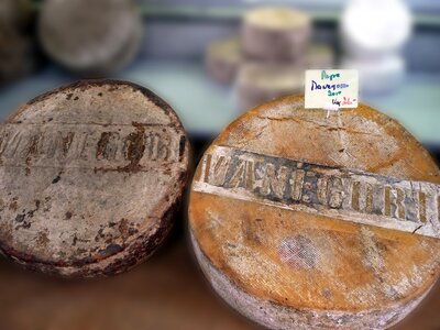 Delicacy milk product old