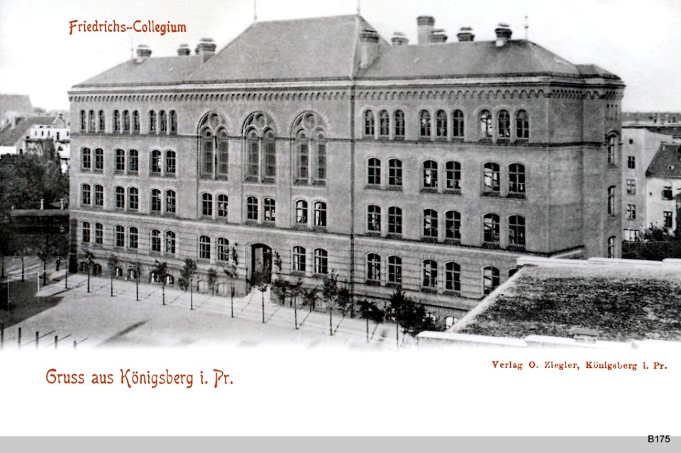 ID003743 B175 FriedrichsCollegium