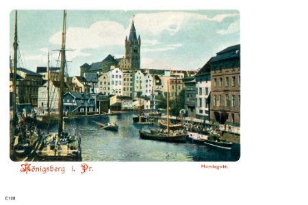 ID004639 E108 HundegattFarbig