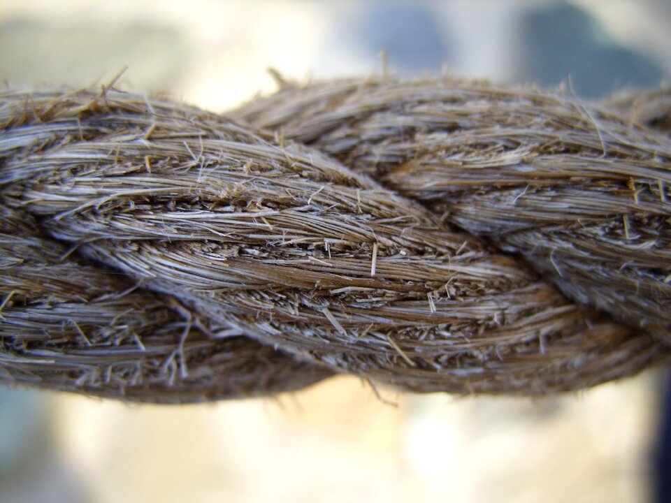 Close-up twisted old