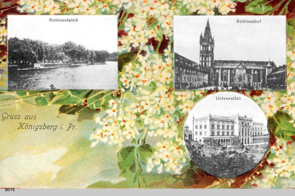 ID003581 B015 SammelBlumen