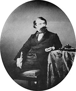 Il poeta Aleardo Aleardi