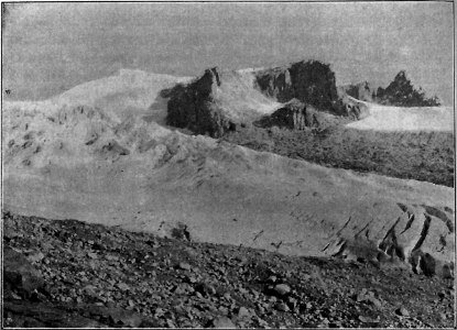 Il Trentino 31