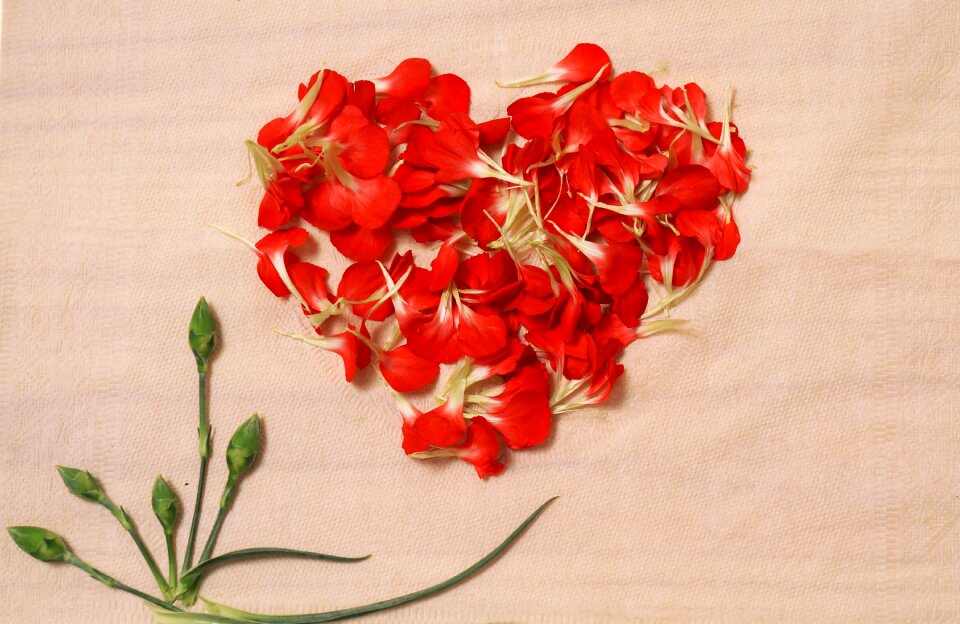 Background heart petals