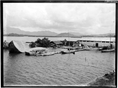 Ilha das Cobras - 1
