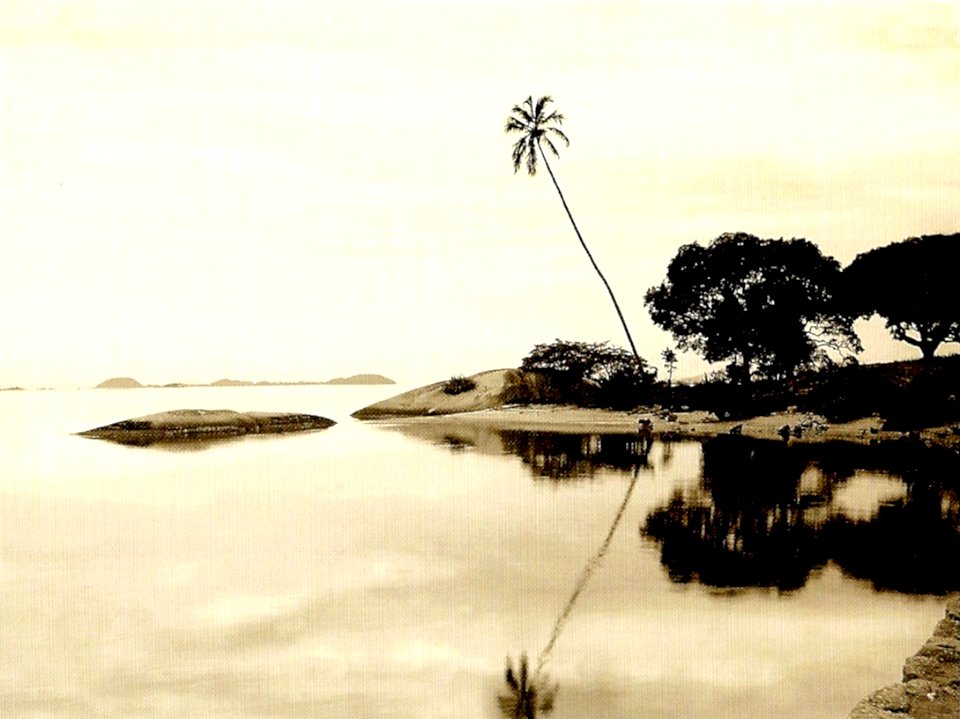 Ilha de paqueta 1885