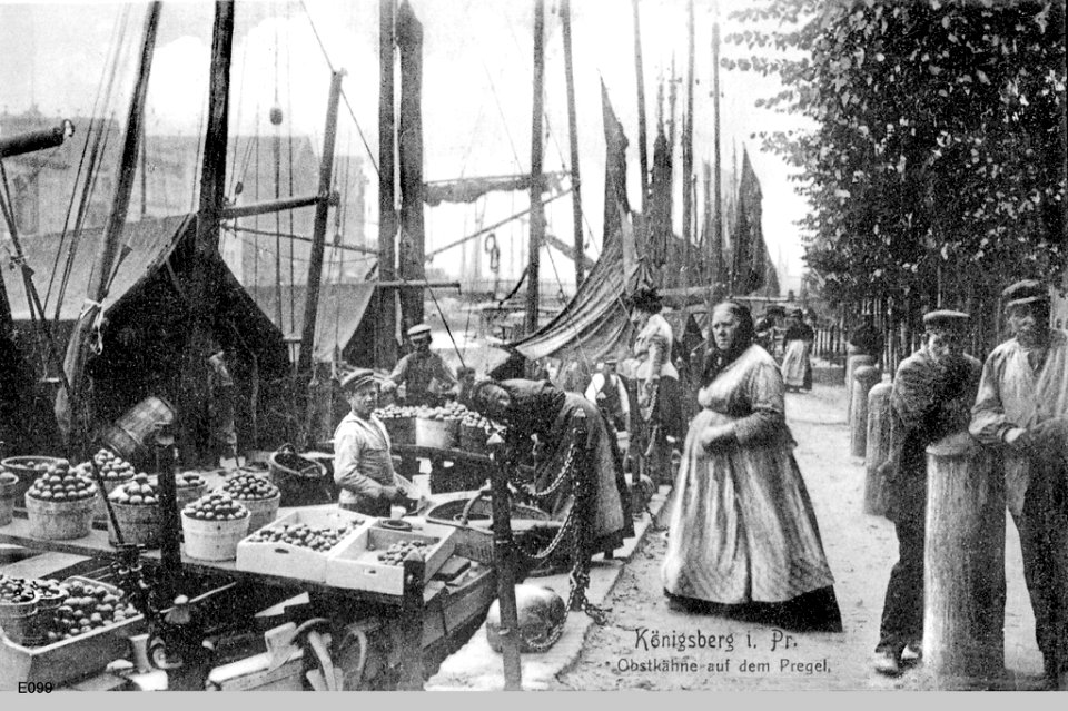 ID004631 E100 PregelObstkaehne