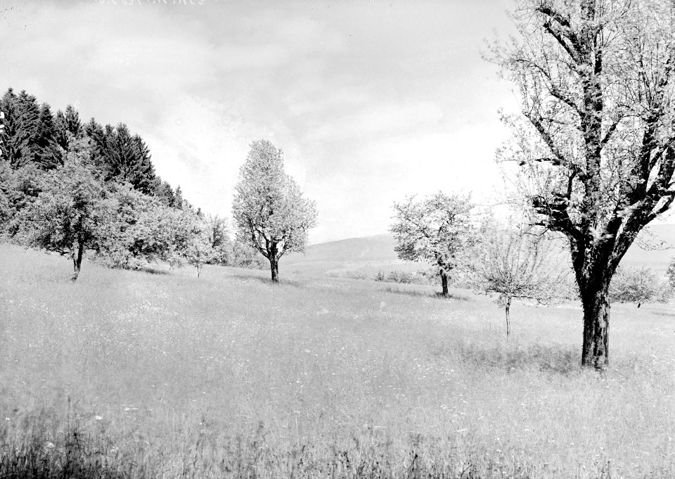 Idyllisches Landschaftsbild - CH-BAR - 3239663