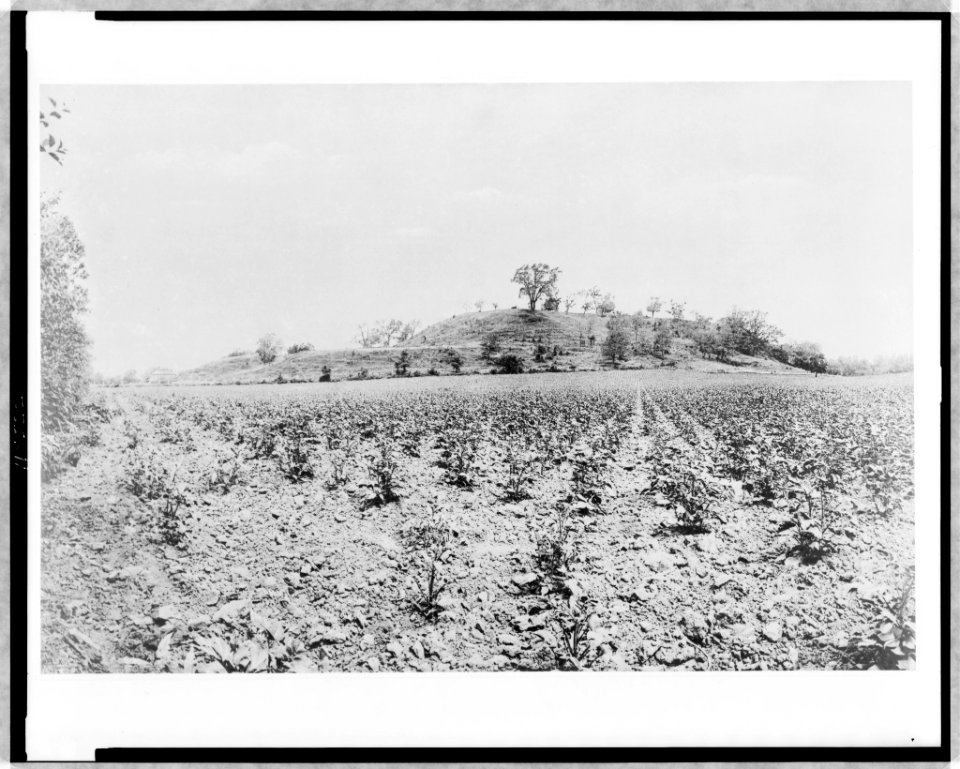 Illinois, Cahokia Mound, October 16, 1907 LCCN97505973