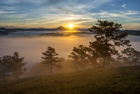 Natural the morning beauty