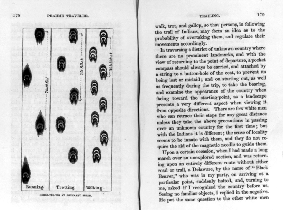 Illus. and page of text on trailering LCCN2006691893