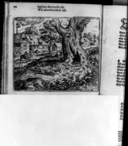 Illus. of Aesop's fable of the grasshopper and the ant LCCN2005692089