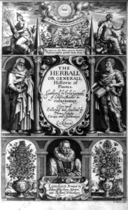 Illus. title page of The Herball or Generall Historie of Plantes. Gathered by John Gerarde, London, 1636 - shows composite of scenes including figures of Ceres and Pomona, full-length LCCN2004678687