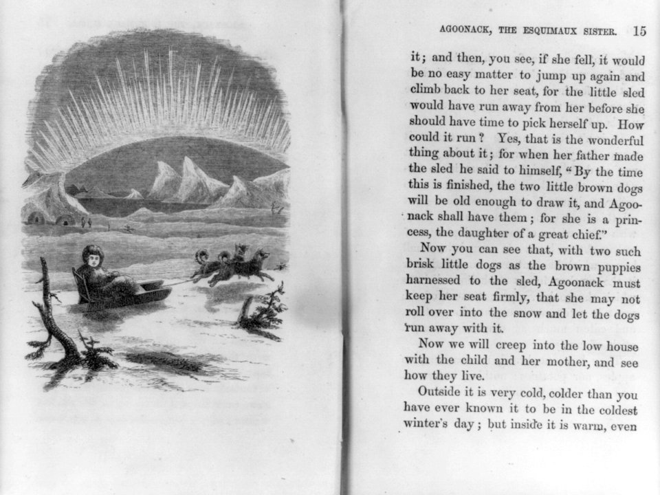 Illustration of an Eskimo on a sled pulled by two dogs LCCN2006687224