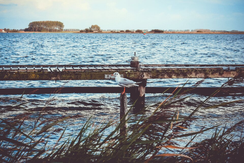 Water waves nature