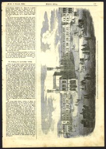 Illustrirte Zeitung No. 0698, Seite 313, 1856-11-15