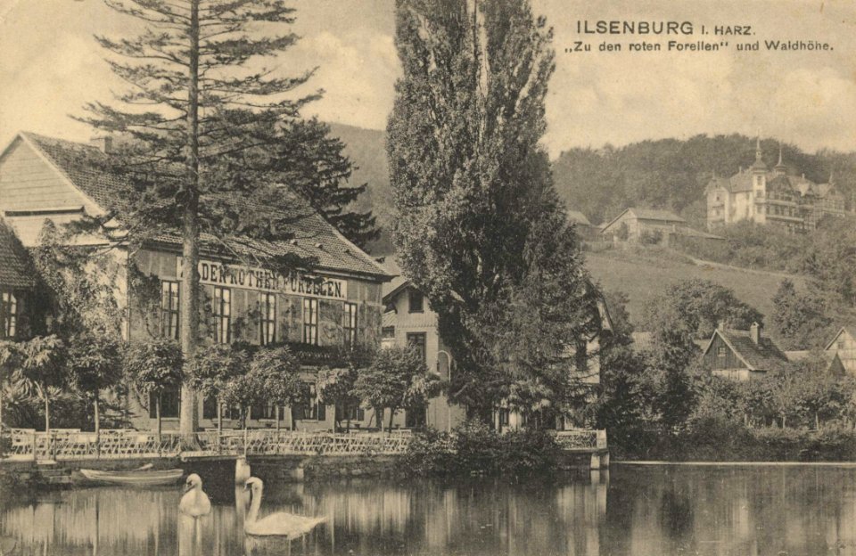 Ilsenburg (Harz), Sachsen-Anhalt - Gasthaus Zu den roten Forellen, Waldhöhe (Zeno Ansichtskarten)