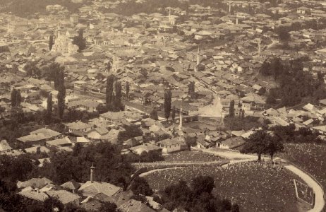 Ignaz Konigsberger, Panorama Sarajeva (Alifakovac)