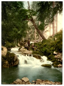 Ilse Falls, Hartz, Germany-LCCN2002713815