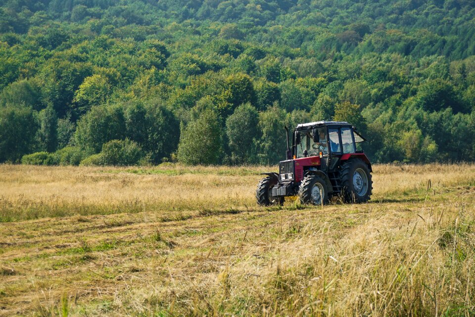 Grass mowing the grass haymaking