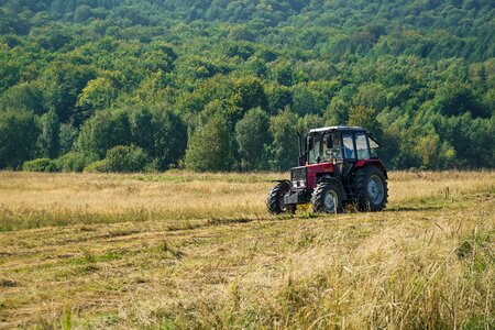 Grass mowing the grass haymaking